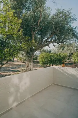 a concrete wall with a tree in the background at Aesthisis Sensational Accommodation in Kolimbia