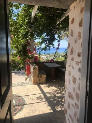 a view from the door of a patio with a tree at Karpathios Studios Pefkos in Pefki Rhodes