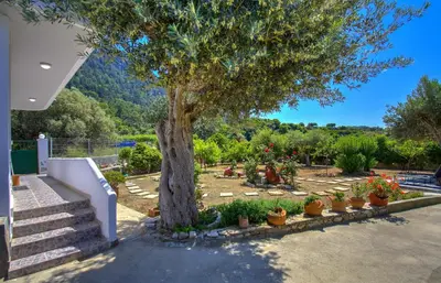 a tree in a yard with potted plants at Villa Bella Montagna in Kapíon