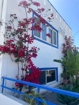 a building with red flowers on the side of it at Gennadi Sun Apartments 500m from the beach in Gennadi