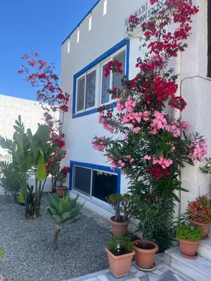 a house with flowers in pots in front of it at Gennadi Sun Apartments 500m from the beach in Gennadi