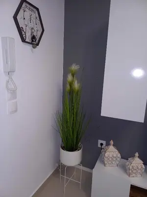 a plant in a white pot in a room at Andreas Apartment in Rhodes Town