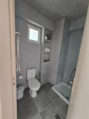 a small bathroom with a toilet and a shower at Plastiras Sea View Apartments in Archangelos