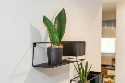 a plant in a black pot on a wall at Unique Central Lee Pham Apartment in Rhodes Town
