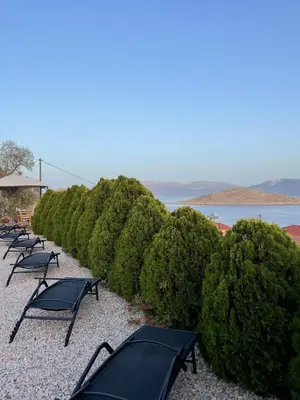 a row of bushes with chairs in front of the water at Marina Castellana Studios II in Halki