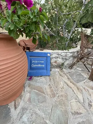 a blue box sitting on the ground next to a plant at Marina Castellana Studios II in Halki