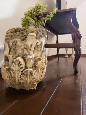 a plant in a vase next to a piano at SOFI'S house in Rhodes Town