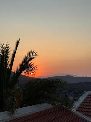 a sunset from the roof of a building with a palm tree at Kleopatra Sweet Home in Symi