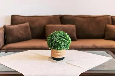 a potted plant sitting on a table in front of a couch at Villa Maribia with Private pool in Gennadi