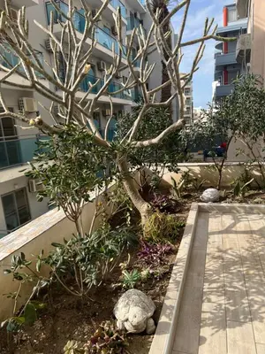 a tree in a garden in front of a building at Psaropoula's Hidden Gem in Rhodes Town