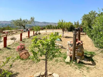 a garden with a small tree in a field at Rhodes traditional Cottage with private garden in Archangelos