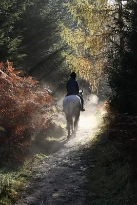 a person riding a horse down a dirt road at AGROLUX OASIS - A Private Pool Escape in Lush Agricultural Serenity in Sálakos
