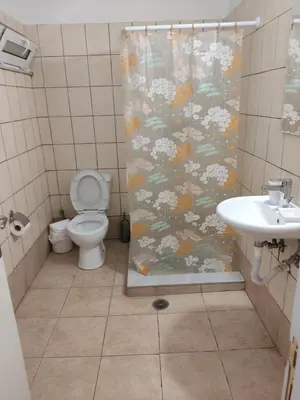 a bathroom with a toilet and a shower curtain at Nikolettas Studios Traditional House in Paradeísion