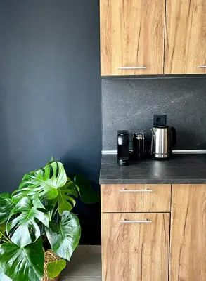 a kitchen with wooden cabinets and a potted plant at DownTown Apartments in Rhodes Town