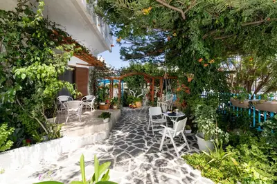 a patio with chairs and tables and plants at House of Flowers in Rhodes Town