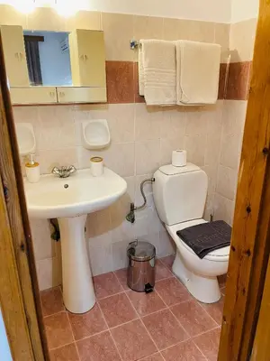 a bathroom with a toilet and a sink at Anastasia Apartment in Afantou