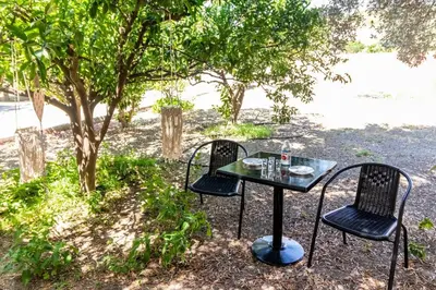 two chairs and a glass table under a tree at Fotis house in Afantou