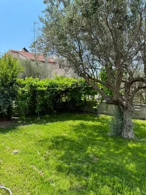 a green yard with a tree and a building at Fotis house in Afantou