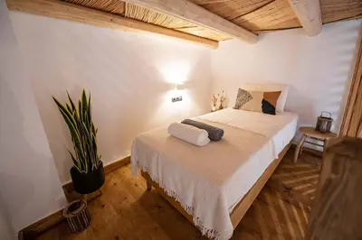 a bedroom with a bed and a potted plant at CasaCarma II, private pool, boho design, tradition in Lachania