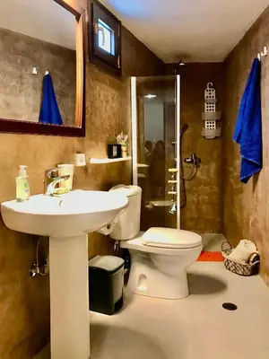 a bathroom with a sink and a toilet and a shower at The Mill House Stella in Symi