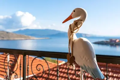 a pelican standing on a balcony overlooking the water at Villa Lola in Halki