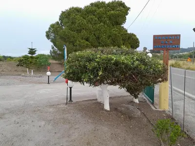 a tree in front of a sign on a street at Green View Appartment (Thanasis 2) in Kalavárda
