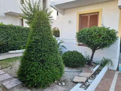 a small pine tree in front of a house at Villa Bianca in Kremasti