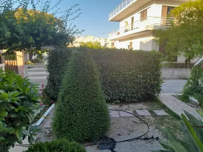 a hedge in a yard next to a building at Villa Bianca in Kremasti