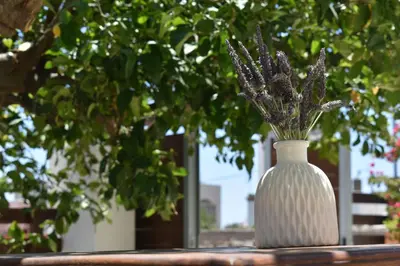 a white vase filled with purple flowers on a table at Lithos House in Monólithos