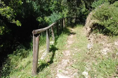 a wooden fence on the side of a trail at Irene's Apartment In Salakos in Sálakos