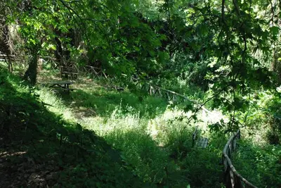 a path in a forest with grass and trees at Irene's Apartment In Salakos in Sálakos