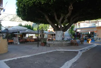 a large tree with chairs and tables and umbrellas at Irene's Apartment In Salakos in Sálakos