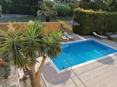 a swimming pool with a palm tree in a yard at Island Rodos Pool Suites in Ialyssos