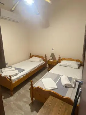 two twin beds in a room at Despinas Seafront Apartments,Haraki in Haraki