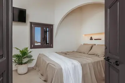 a bedroom with a bed and a mirror and a plant at Noema Lindos - Angeliki Suite in Líndos