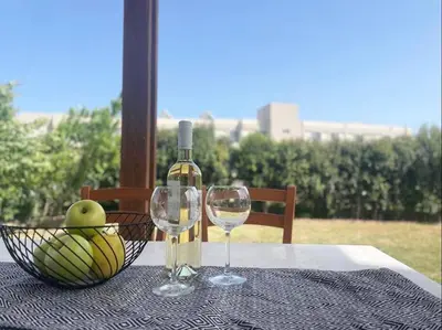 a bottle of wine and two glasses on a table at Gennadi Big House in Gennadi
