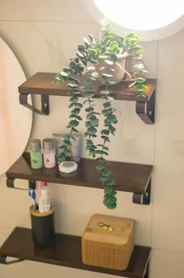 a shelf with a potted plant on a wall at Anassa Mountain House in Émbonas