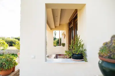 a white building with potted plants on the side of it at Irini's house afandou in Afantou