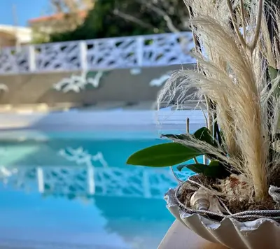 a plant in a pot next to a pool at Europa Hotel in Rhodes Town
