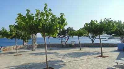 a row of trees on the beach near the water at Paraktio Beach Apartments in Kiotari