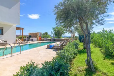 a villa with a swimming pool and a tree at Villa Elios Residence in Asklipiḯon