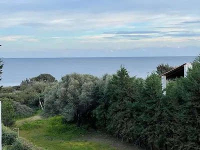 a view of the ocean from a house with trees at Beachfront Studio Socrates in Gennadi