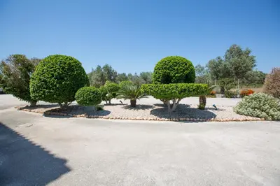 a row of bushes and trees in a park at Serenity Sea-View Home in Afantou