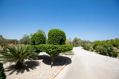 a road with bushes and trees on the side at Serenity Sea-View Home in Afantou