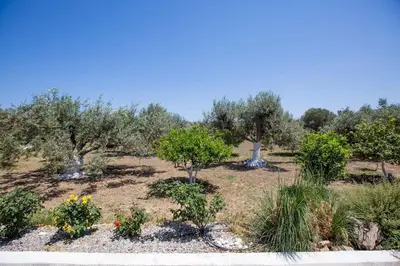 a garden with trees and flowers in a field at Serenity Studio Beach Home in Afantou