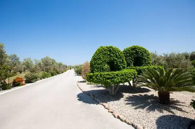 a road with bushes and trees on the side at Serenity Studio Beach Home in Afantou