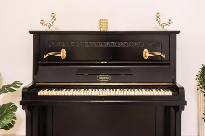 a black upright piano in a room with plants at Niochori Heritage: The Pianist Suite in Rhodes Town