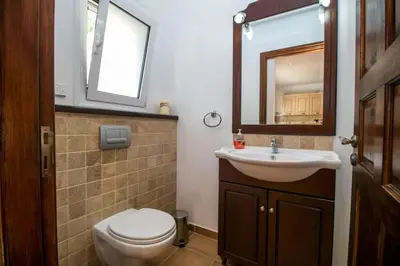 a bathroom with a toilet and a sink and a mirror at Villa Olympos Ladiko in Kalithies