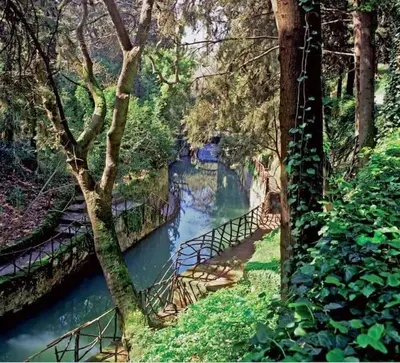 a bridge over a river in a forest at Melograno di Rodi 4 in Rhodes Town