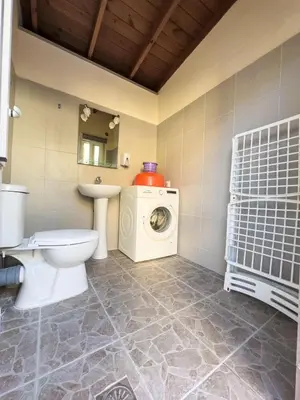 a bathroom with a toilet a sink and a washing machine at Villa Nektarina in Afantou